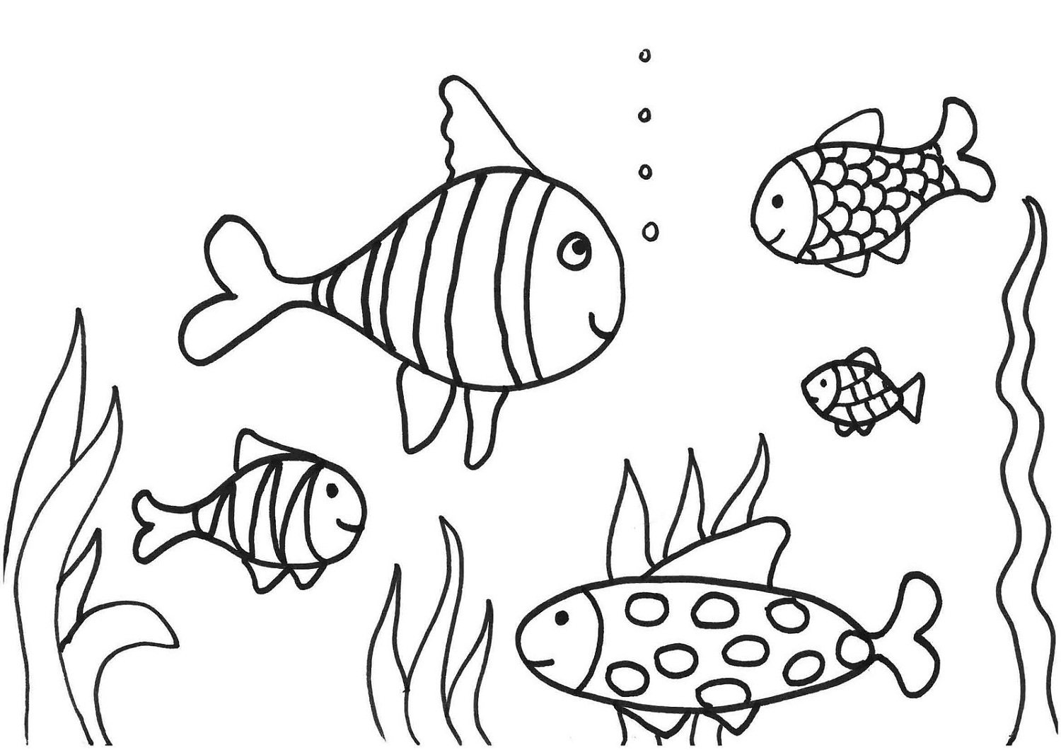 printable fish pictures to color