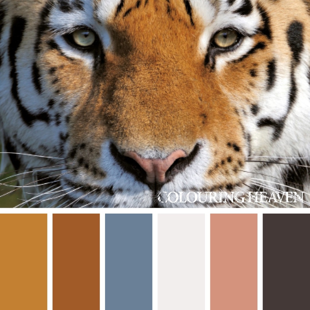tiger color palette]
