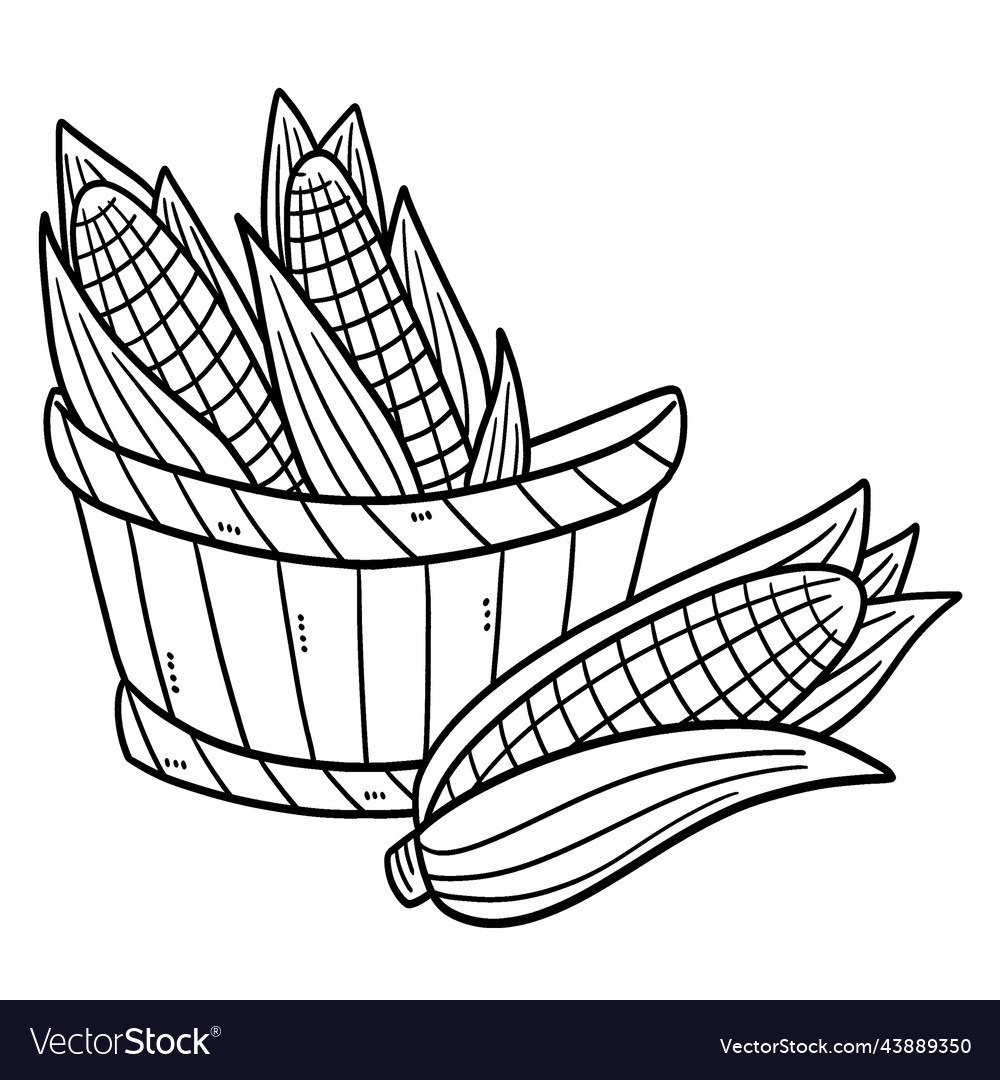 Corn Isolated Coloring Page For Kids Royalty Free Vector