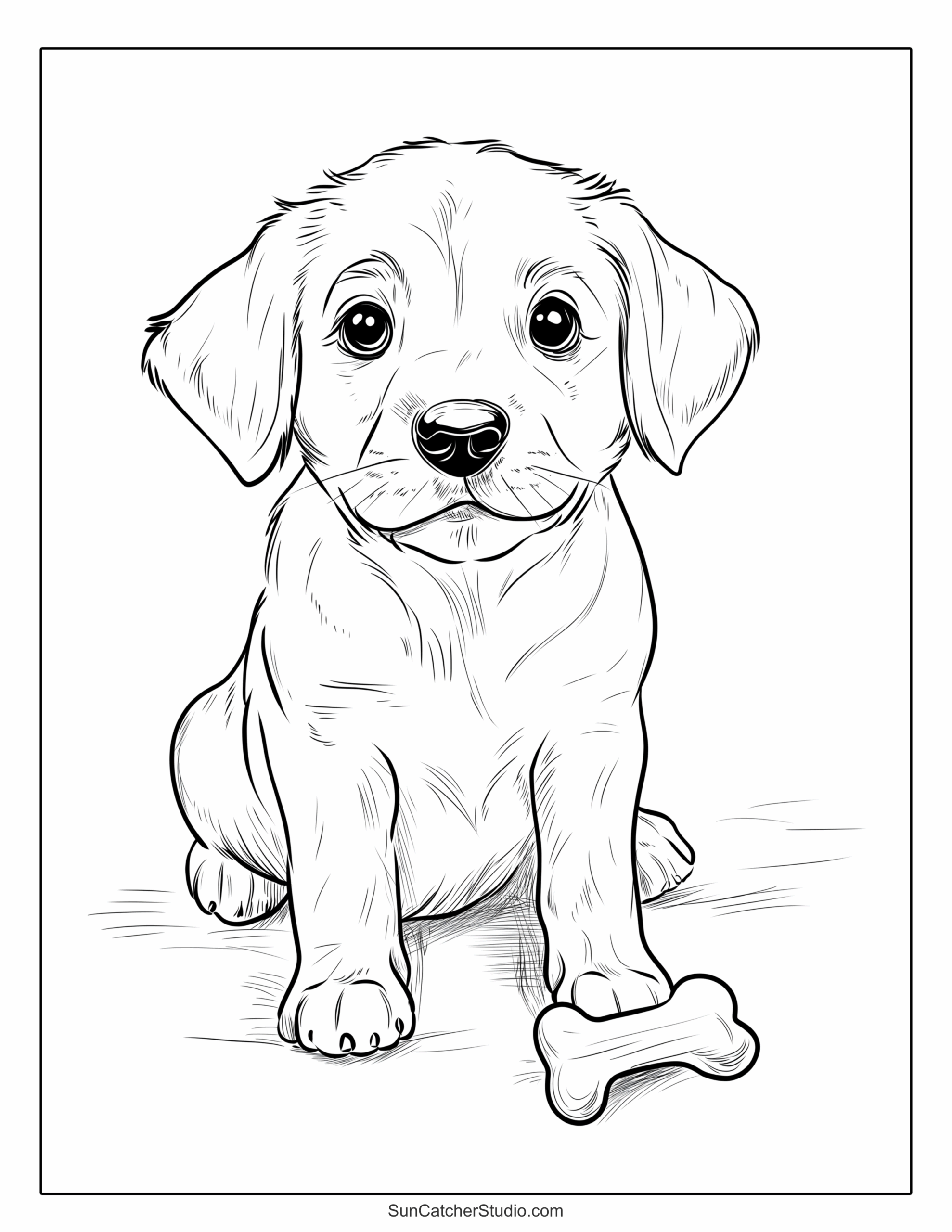 color picture of a dog
