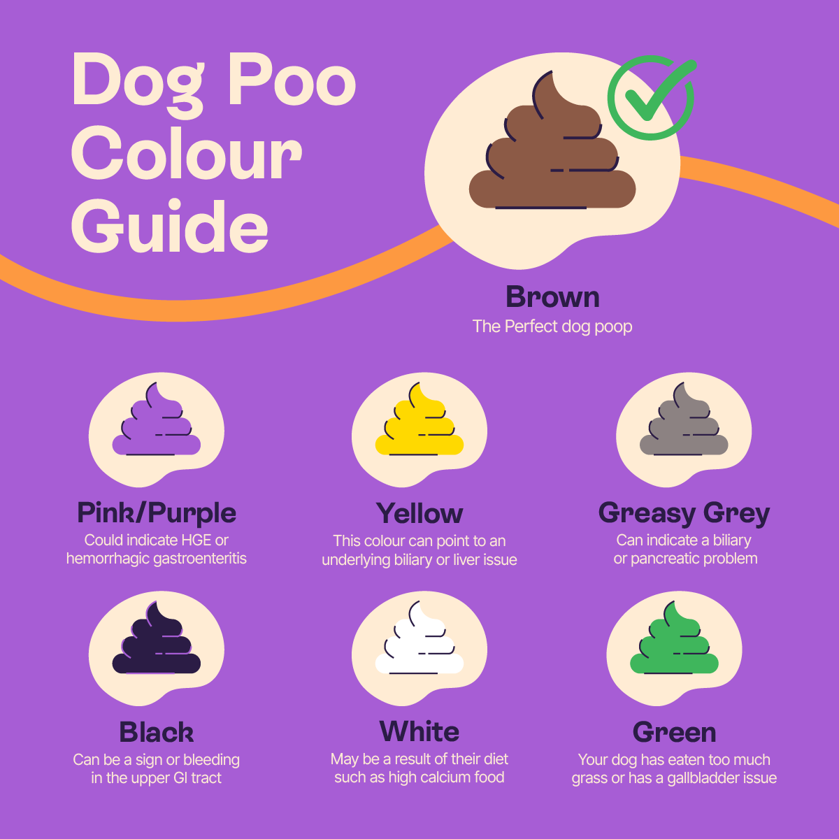 normal dog poop color