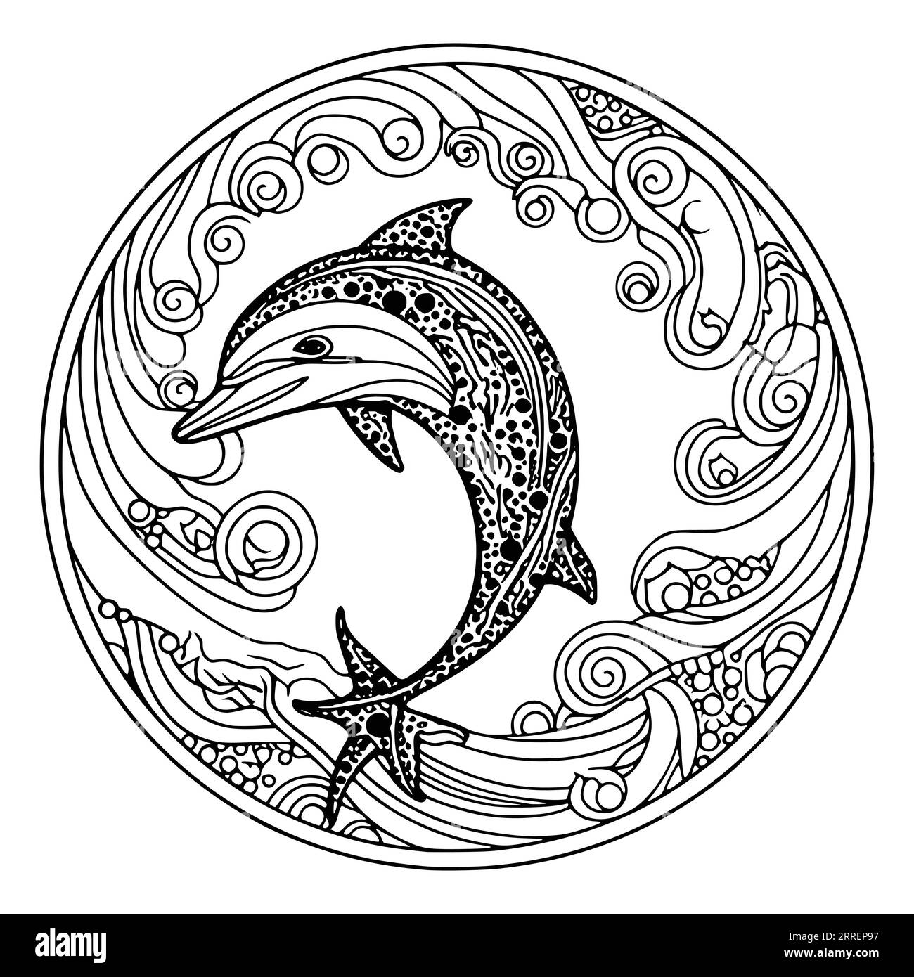 Dolphin Colouring Pages For Adults Hi res Stock Photography And 