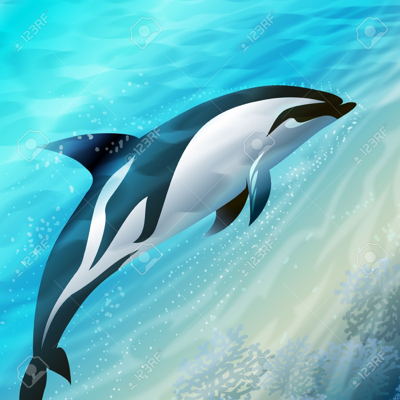Dolphin Floating Against Different Color Sea Stock Photo Picture And Royalty Free Image Image 25243709 