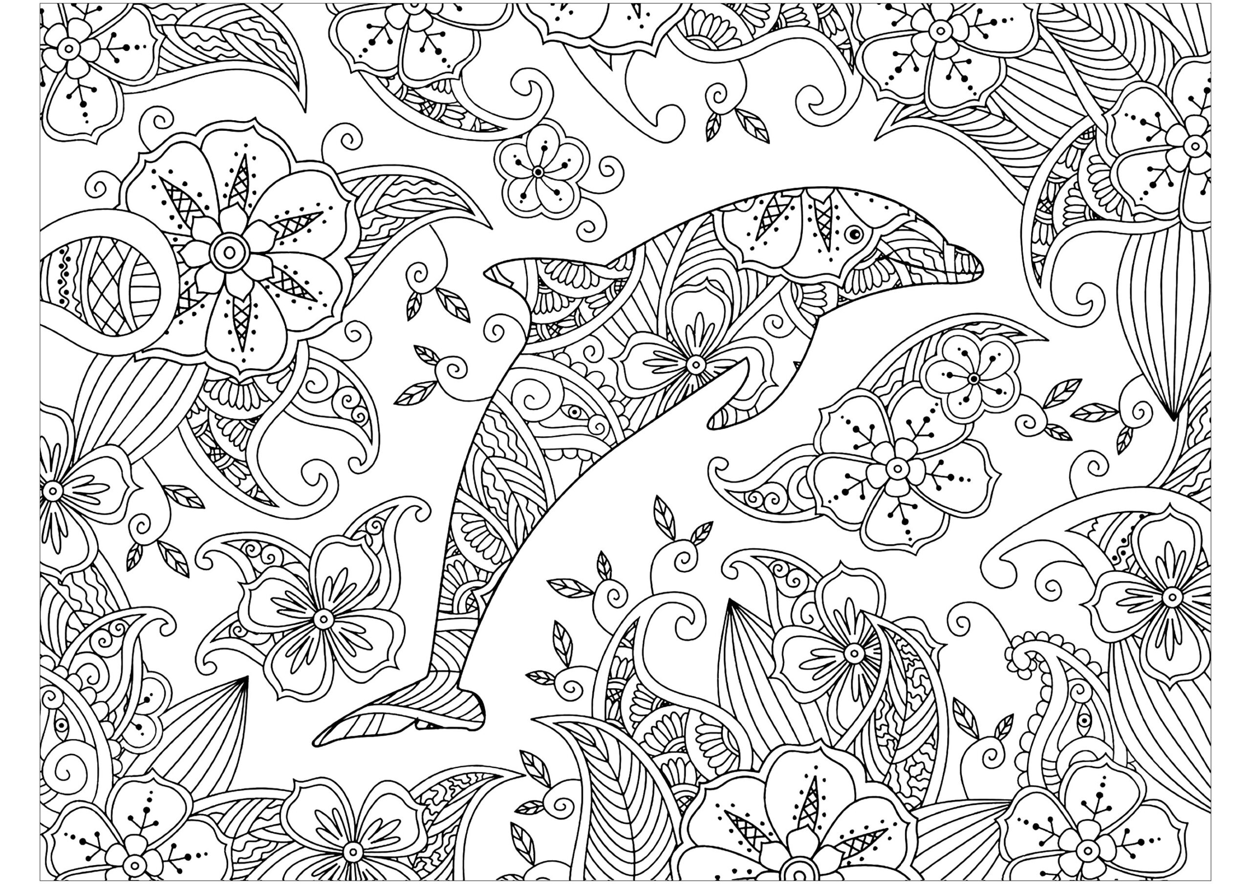 dolphin free coloring pages