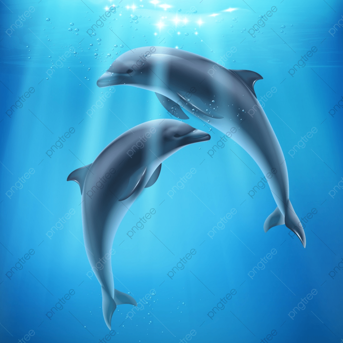 colored dolphins