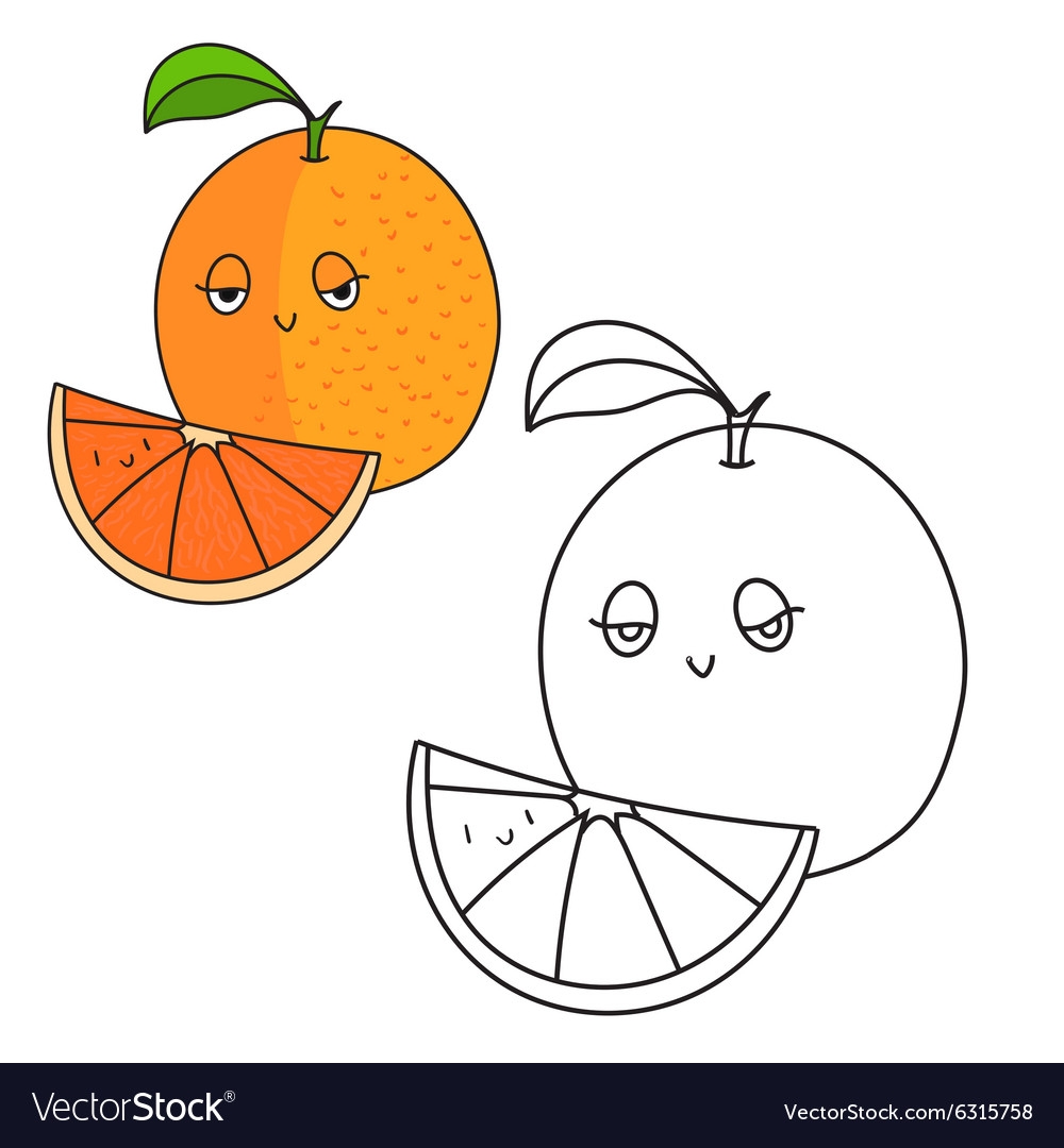 Educational Game Coloring Book Orange Fruit Vector Image