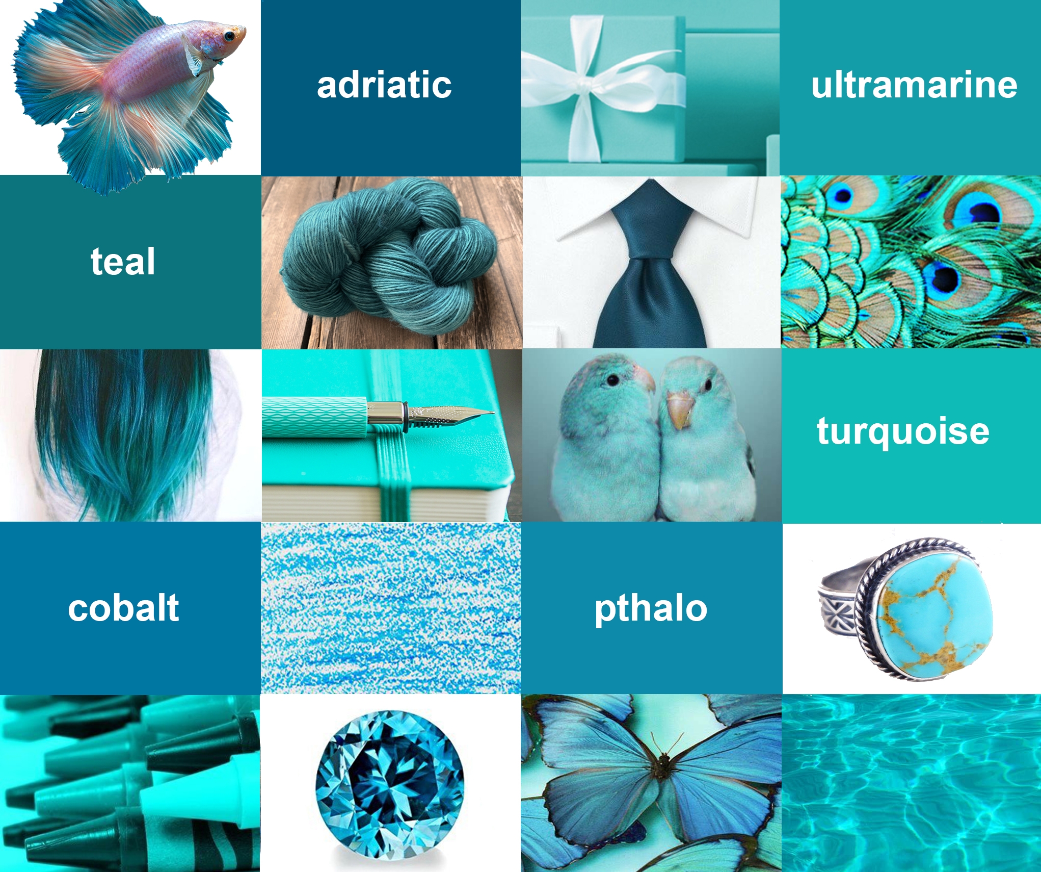 picture of color teal
