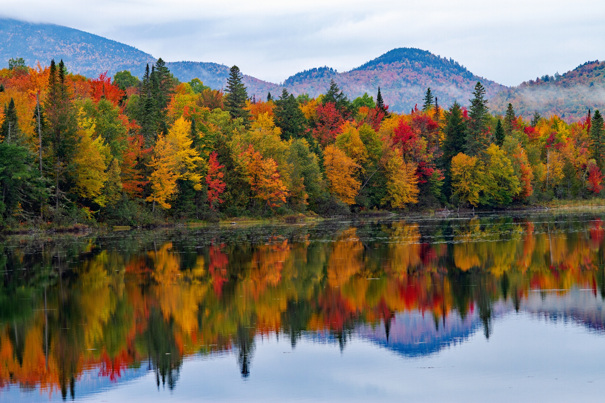 Fall Foliage Forecast 2024 Where To See Vibrant Colors