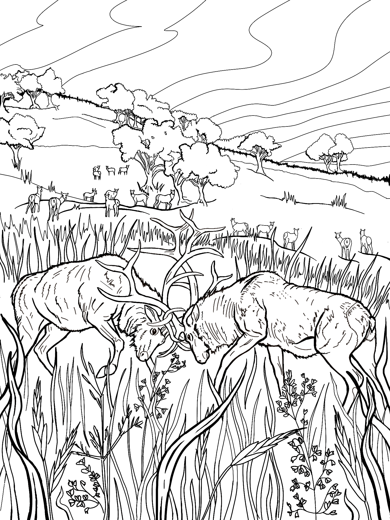 FallColoringChallenge Redwood National And State Parks U S 
