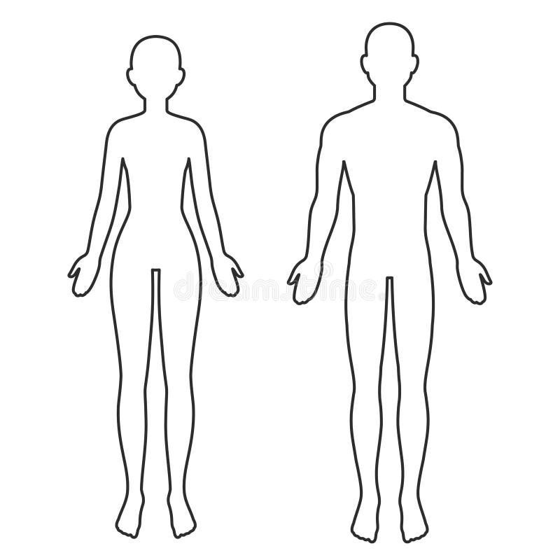 Female Body Outline Stock Illustrations 53 537 Female Body 