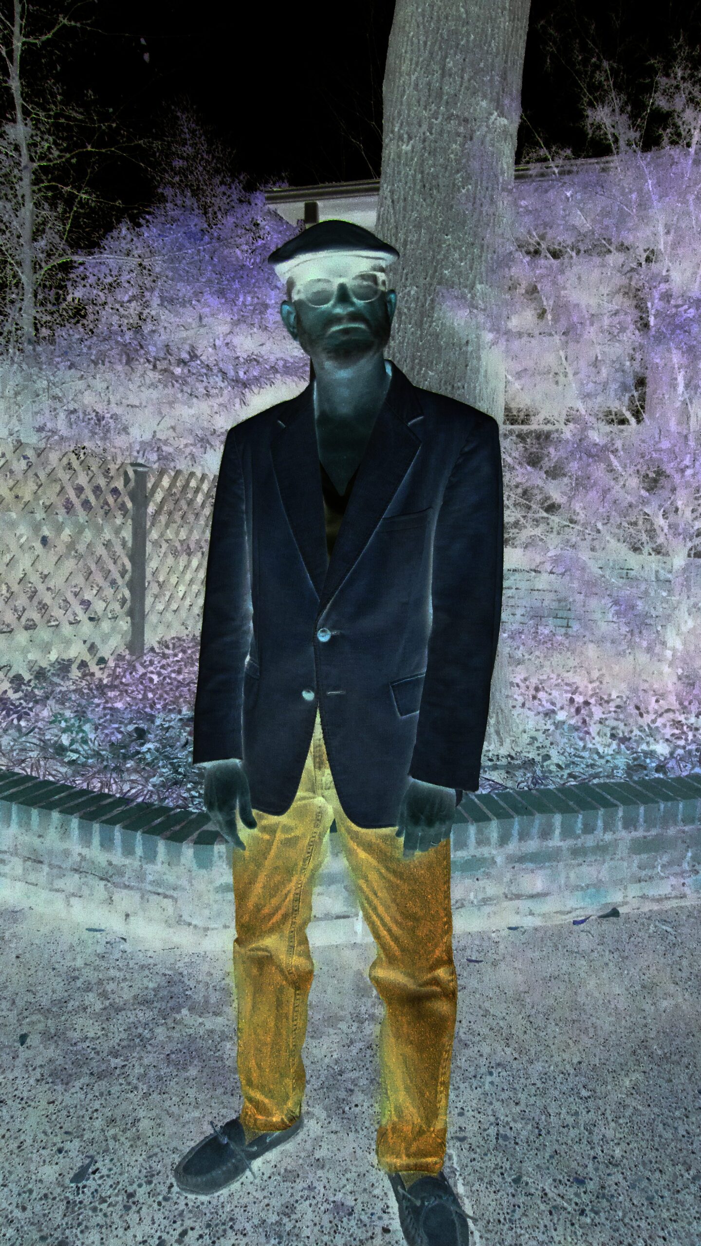 inverted color pictures