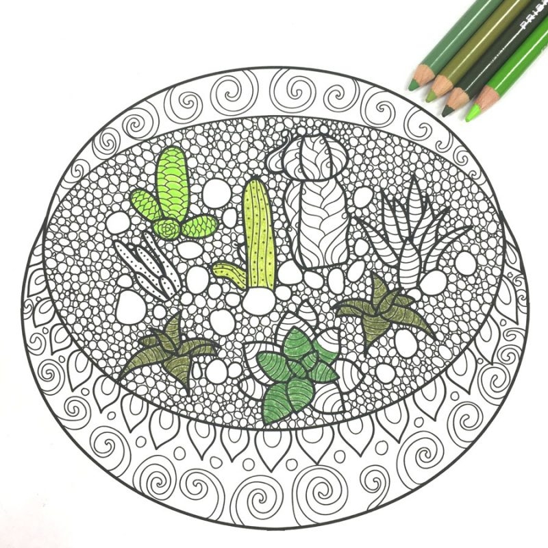 printable color pages for adults