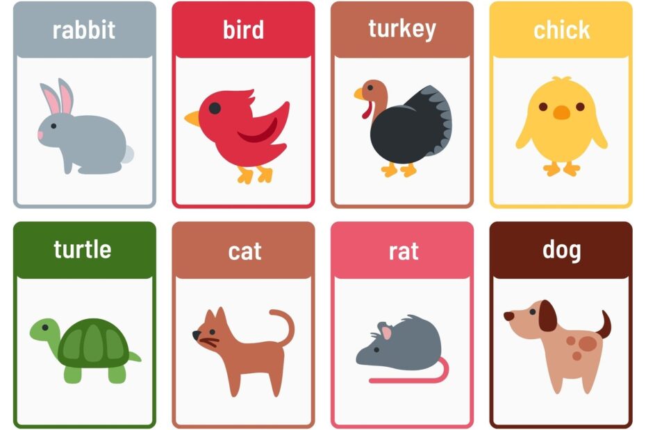 Free Animal Flashcards To Customize And Print Canva