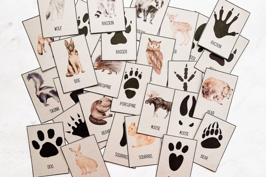 Free Animal Tracks Printable Cards Nature Activity Fox Farm Home