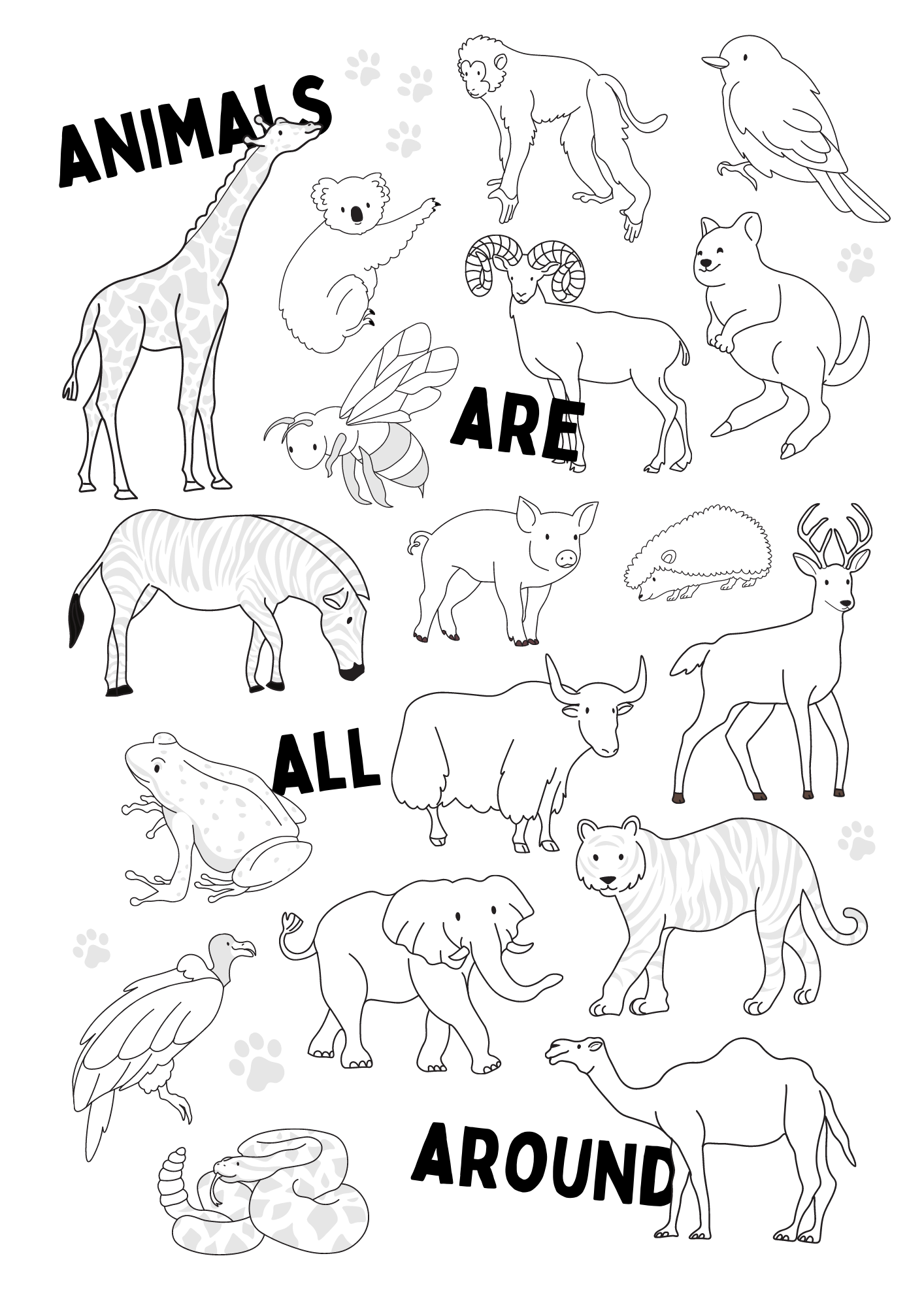 printable pictures to color of animals