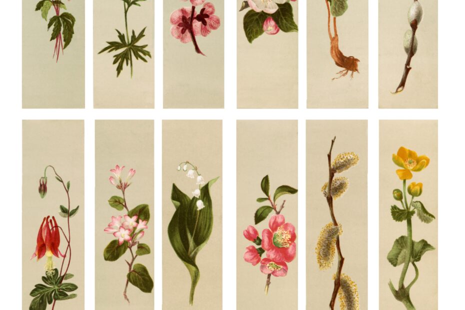Free Printable Floral Strips Vintage Botanical Ephemera For Junk