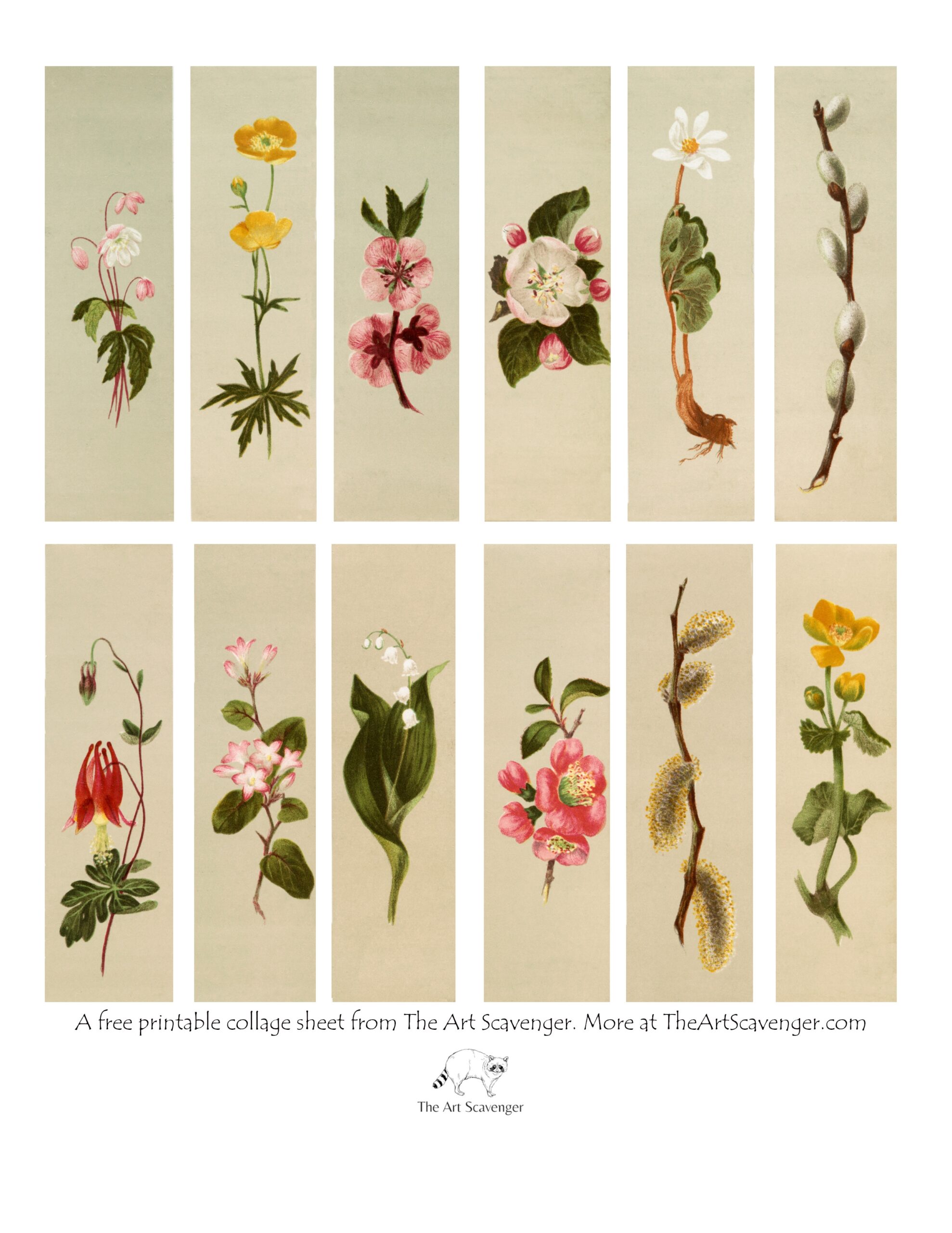 Free Printable Floral Strips Vintage Botanical Ephemera For Junk 