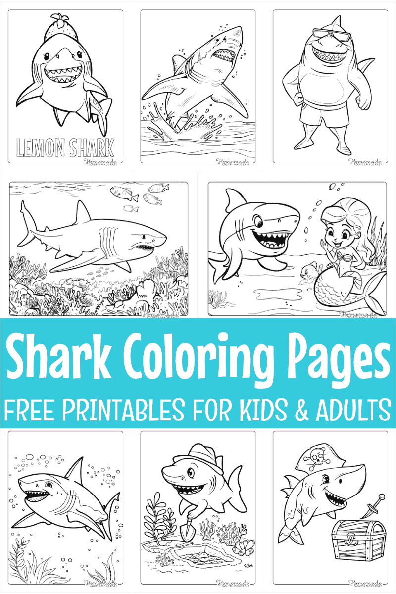 shark coloring sheet