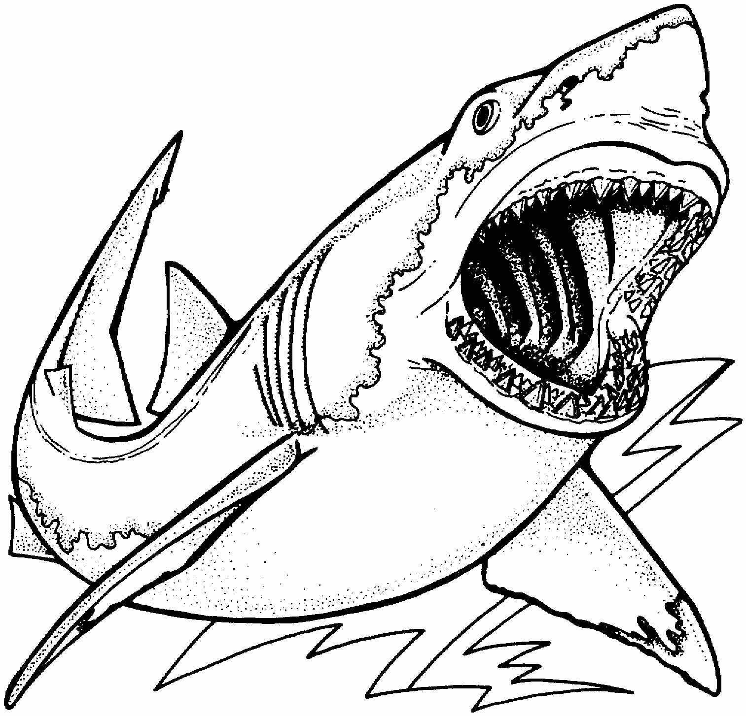 coloring sheets of sharks