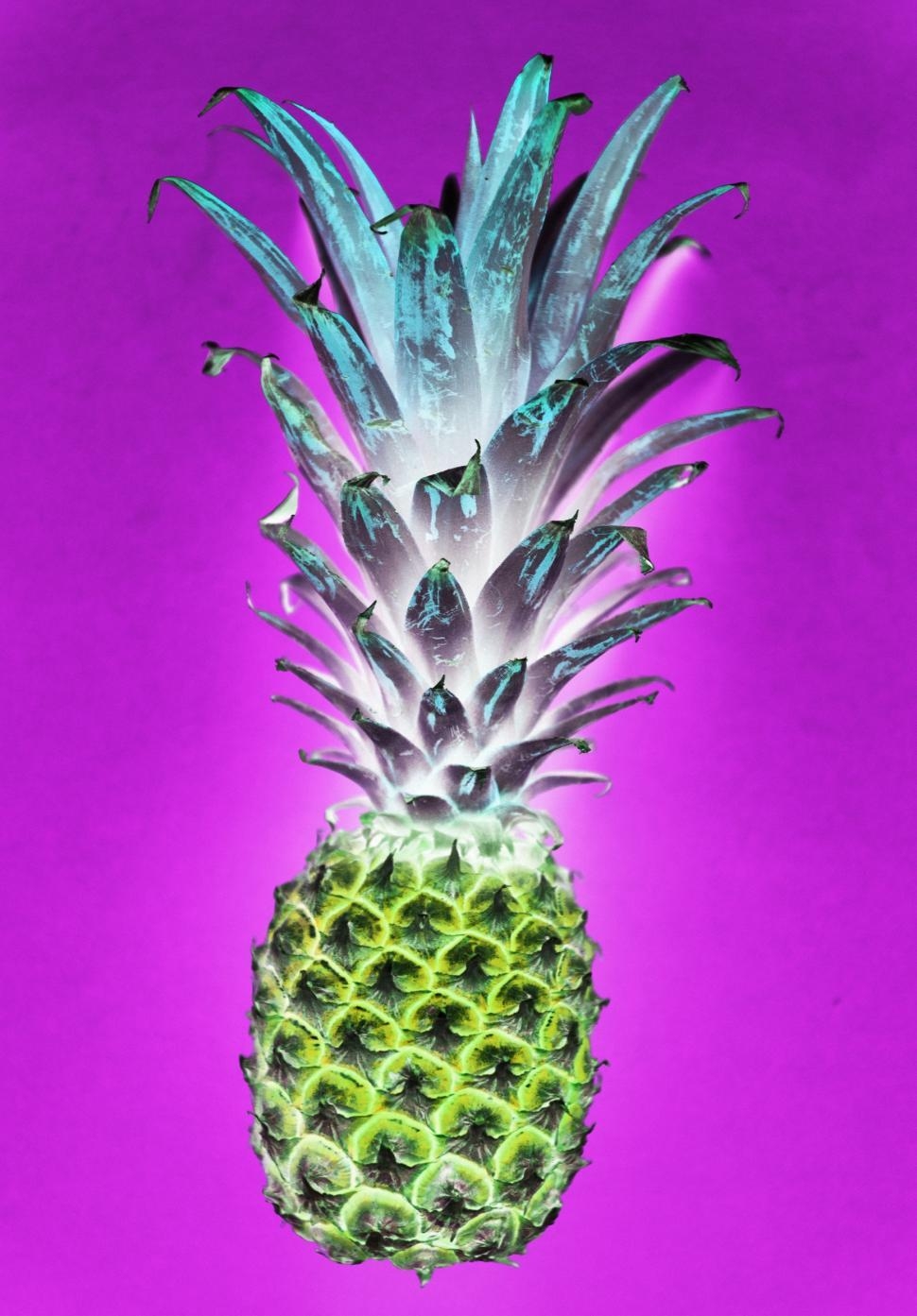 Free Stock Photo Of A Color Inverted Image Of A Pineapple 