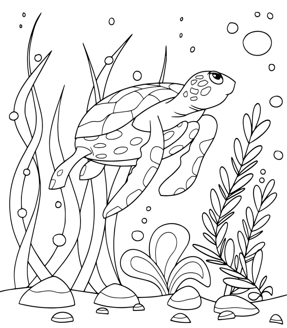 Free TURTLE Coloring Pages For Download Printable PDF 