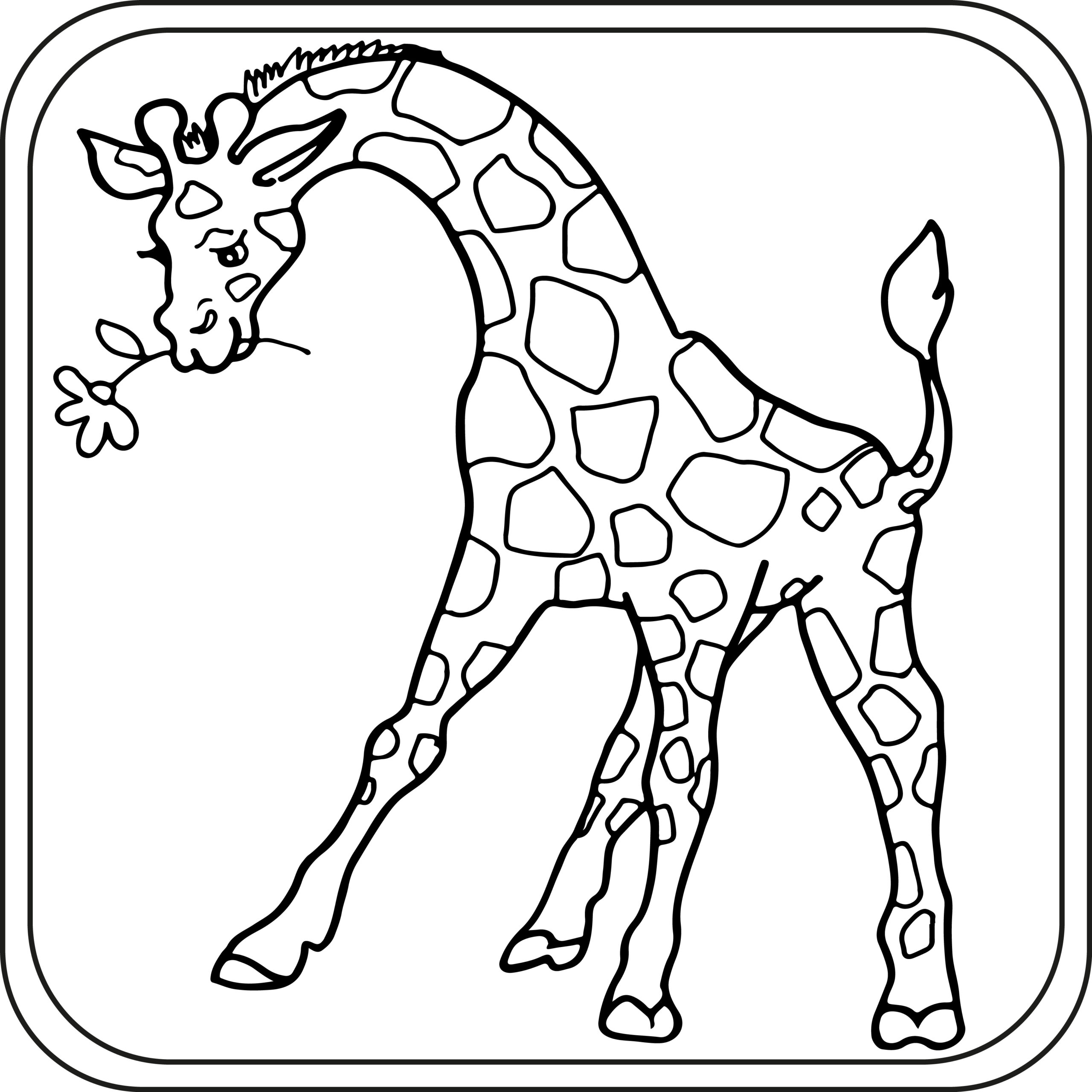giraffe pictures to color