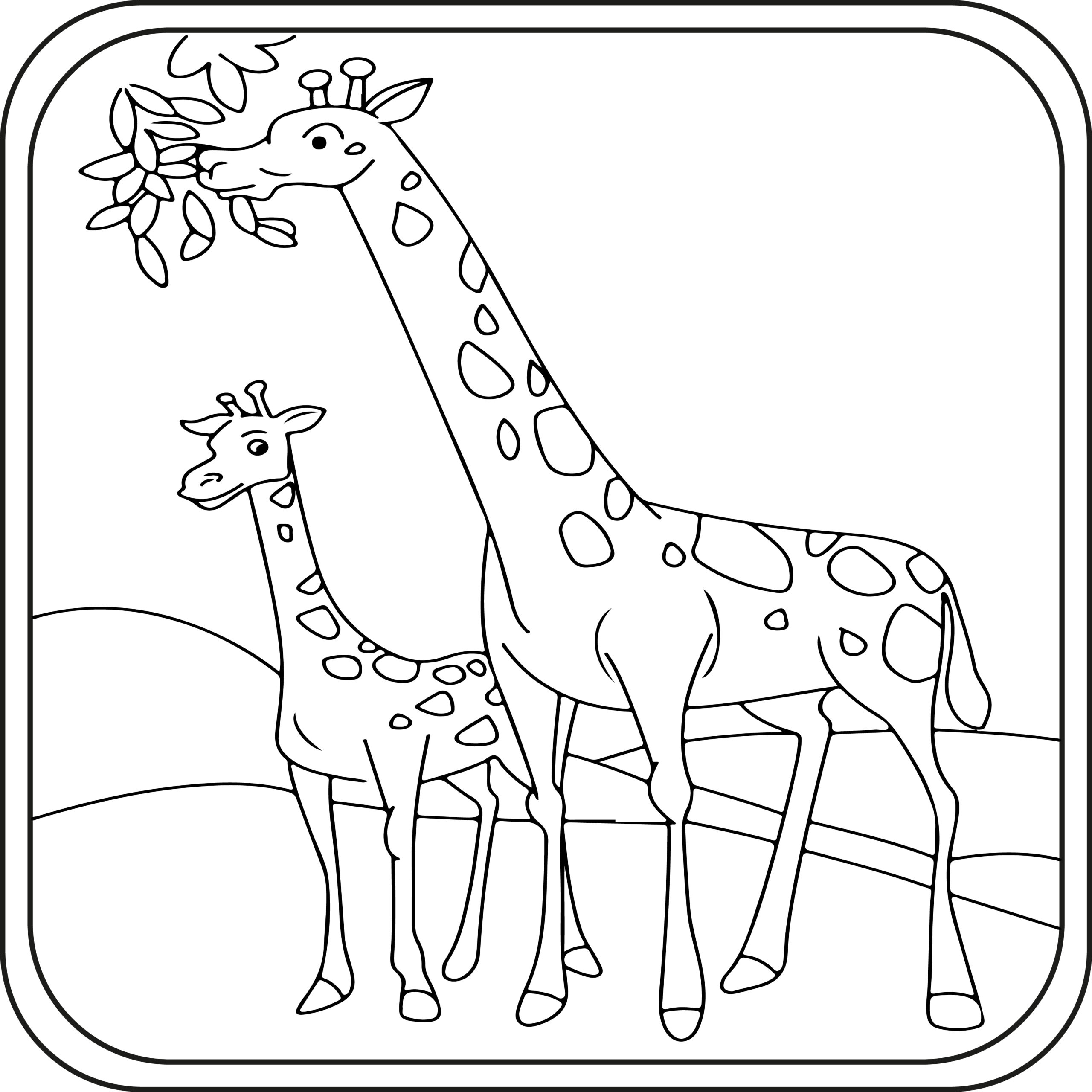 Giraffe Coloring Pages Preschool Kindergarten First Grade 