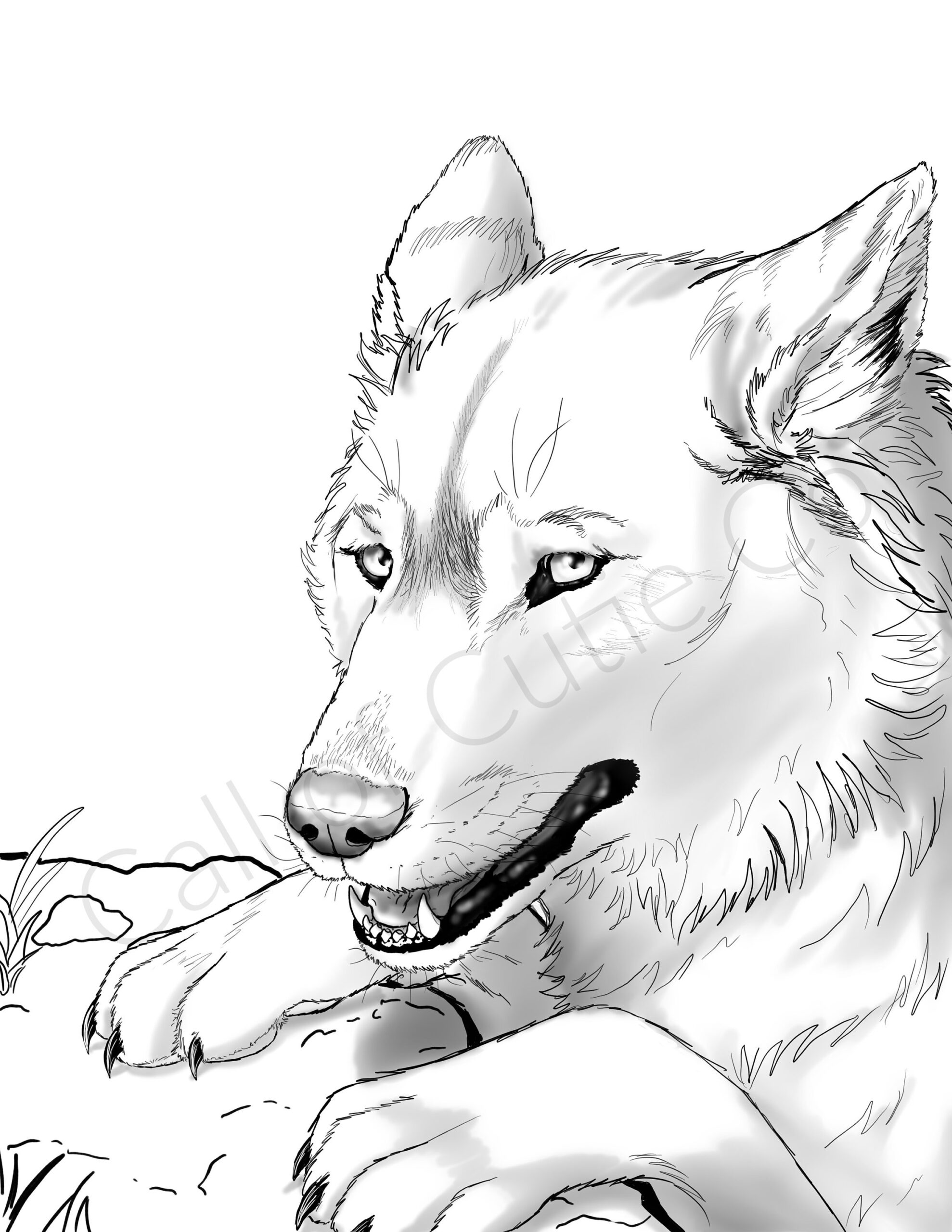 Gray Wolf Color Page digital Wolf Coloring Pages animal Coloring Pages Etsy New Zealand