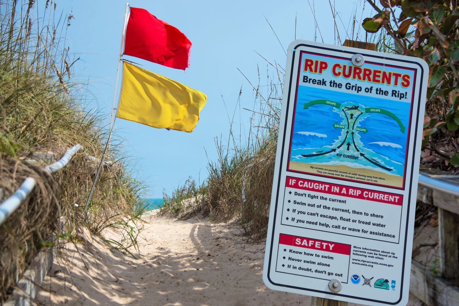 Great Lakes Water Safety What Do Michigan s Flag Colors Mean 