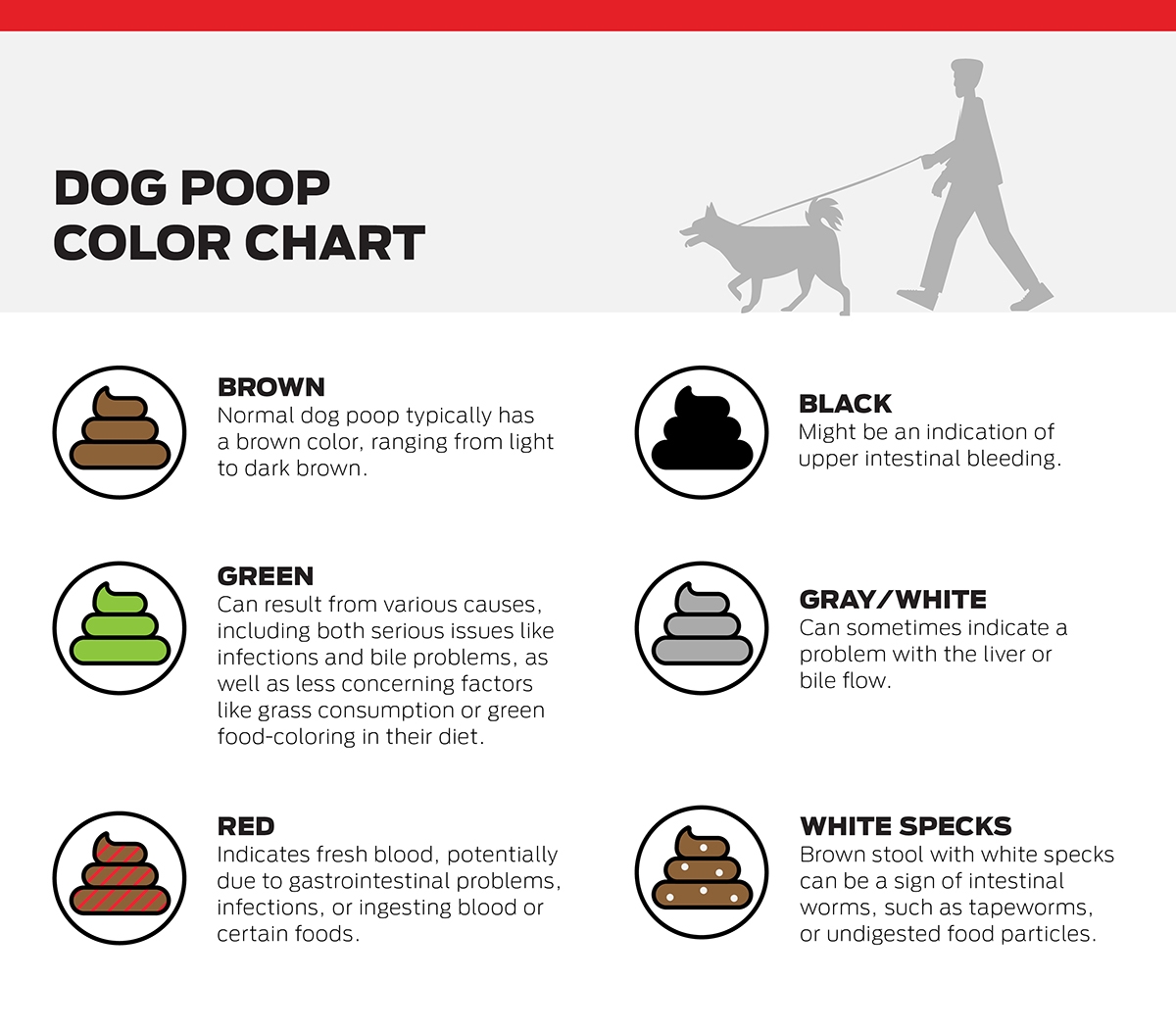 dog poop color chart
