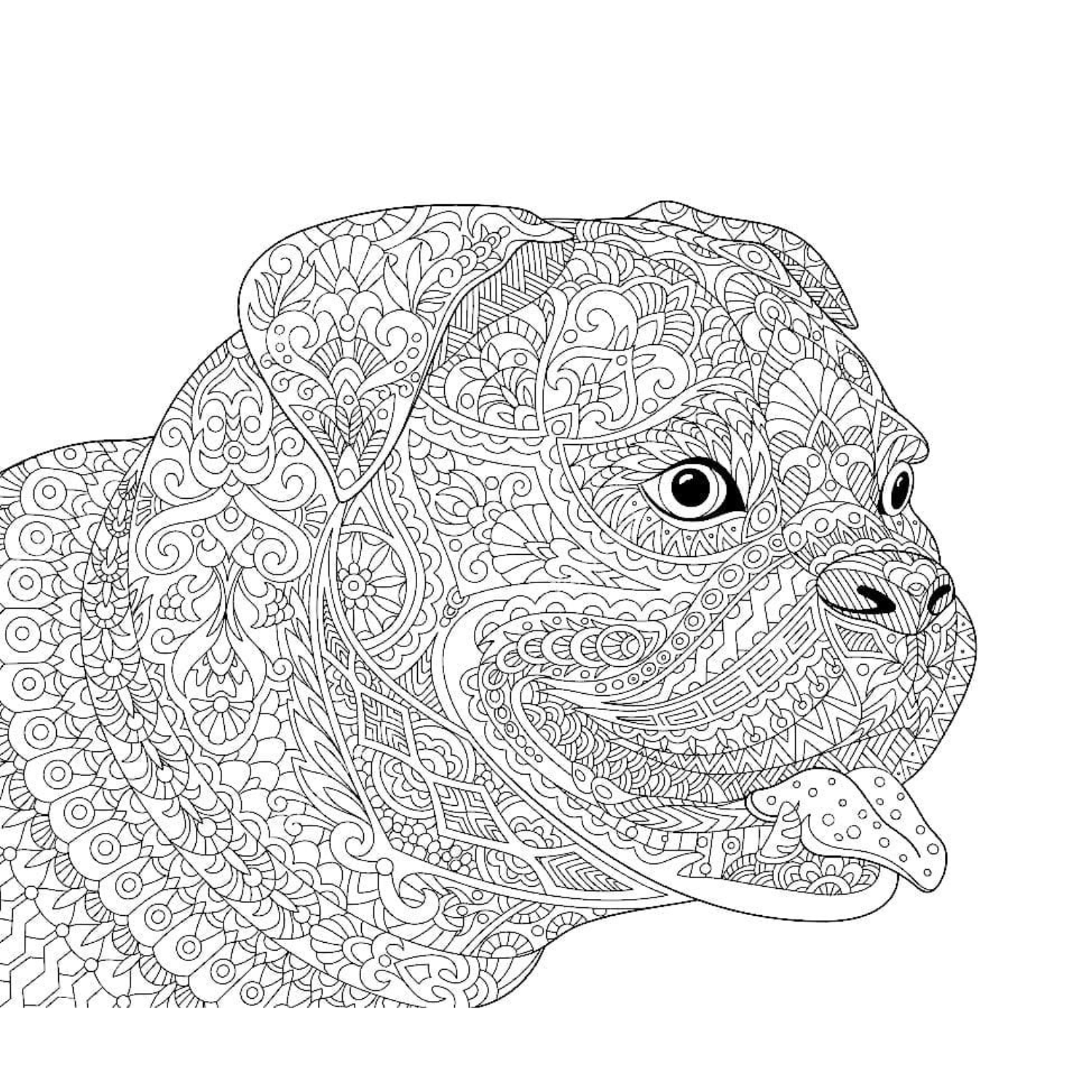 Hard Animal Pattern Coloring Pages Printable Mandala For Kids 