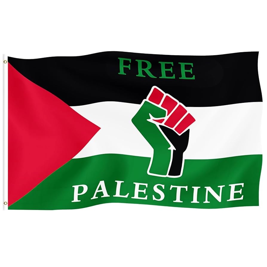 Hetilicjdm Palestinian Flag Bright Colors And Anti fading Double Stitching Polyester Fiber With Brass Cable Ring 3 X 5 Feet