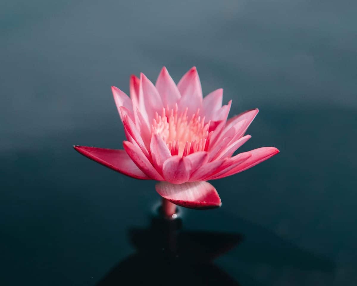 replace color in picture