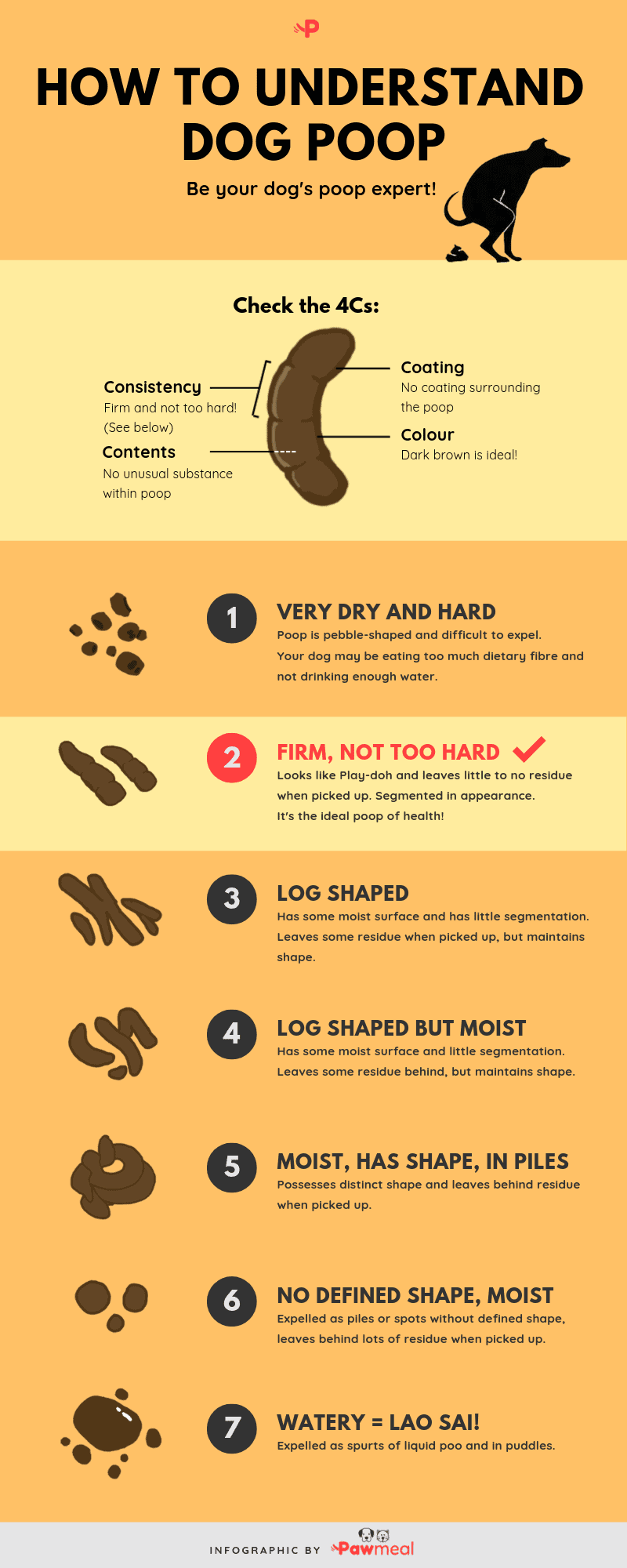 stool color in dogs