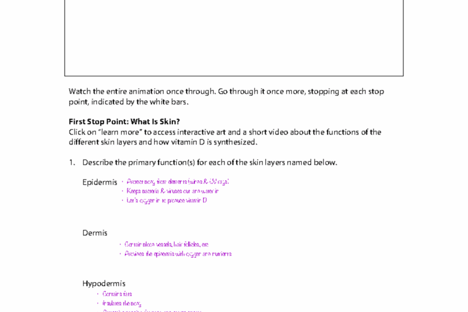 How We Get Our Skin Color BioInteractive Student Worksheet How We Get Our Skin Color Published Studocu