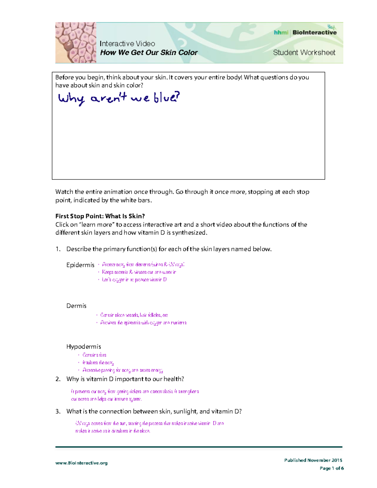 How We Get Our Skin Color BioInteractive Student Worksheet How We Get Our Skin Color Published Studocu