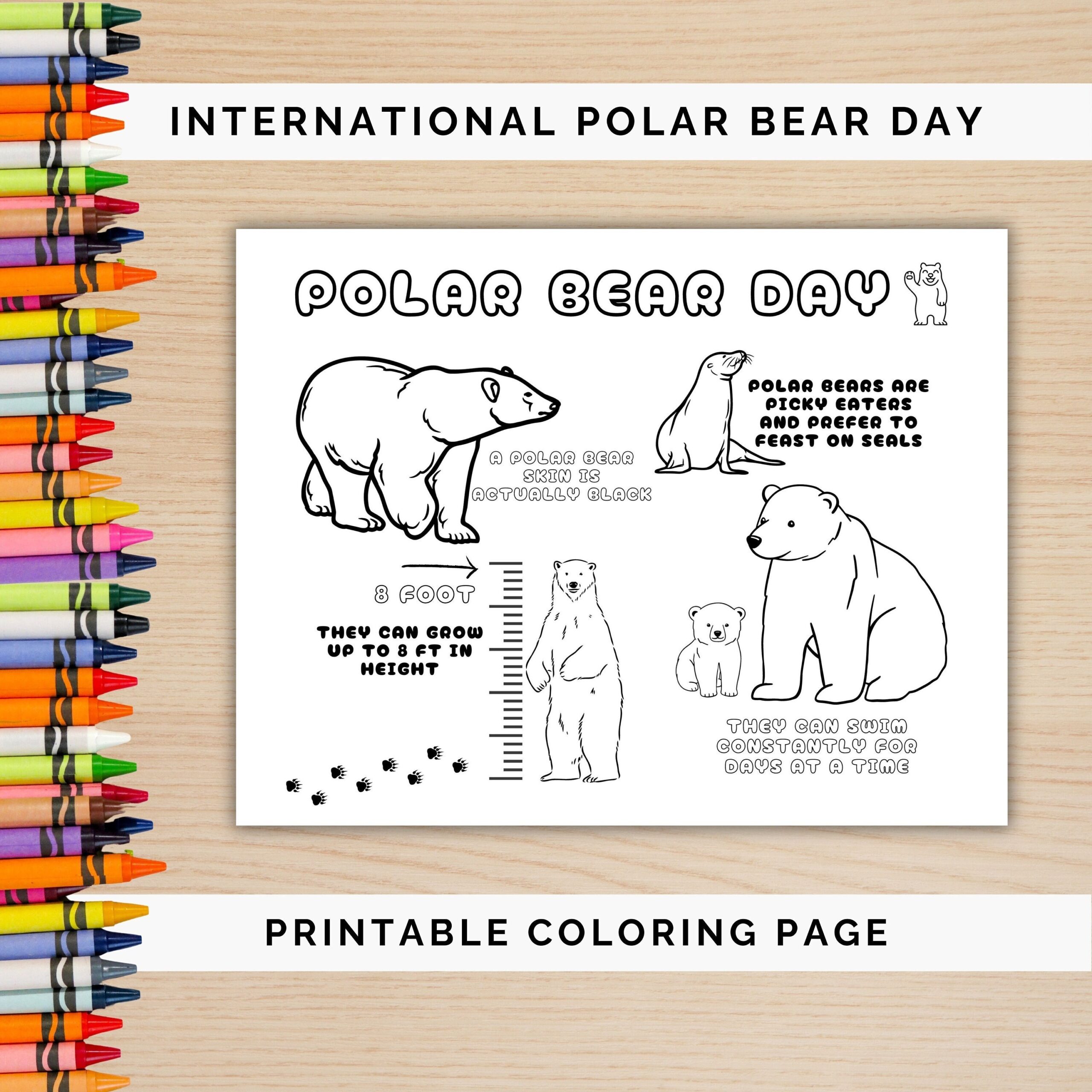 International Polar Bear Day Polar Bear Day Coloring Page For Kids Printable Polar Bear Day Activity Page Polar Bear Day Child s Coloring Etsy