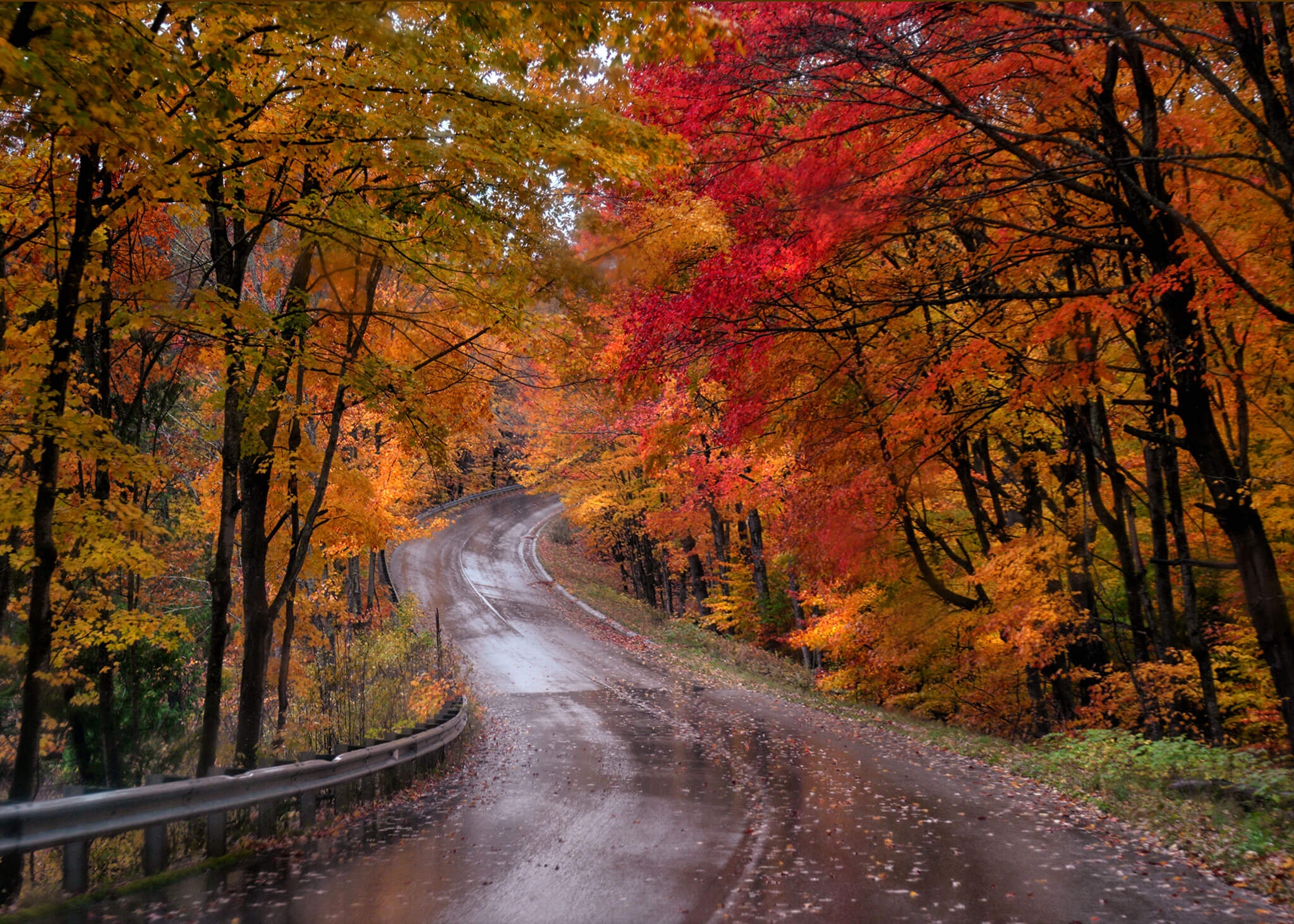 fall colors pictures