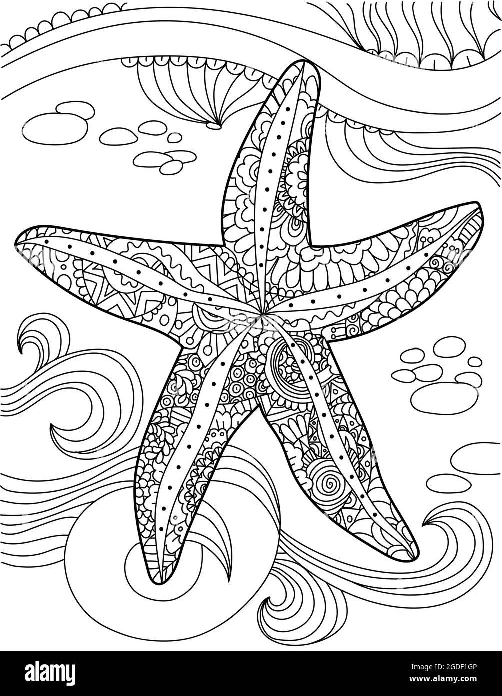 starfish pictures to color