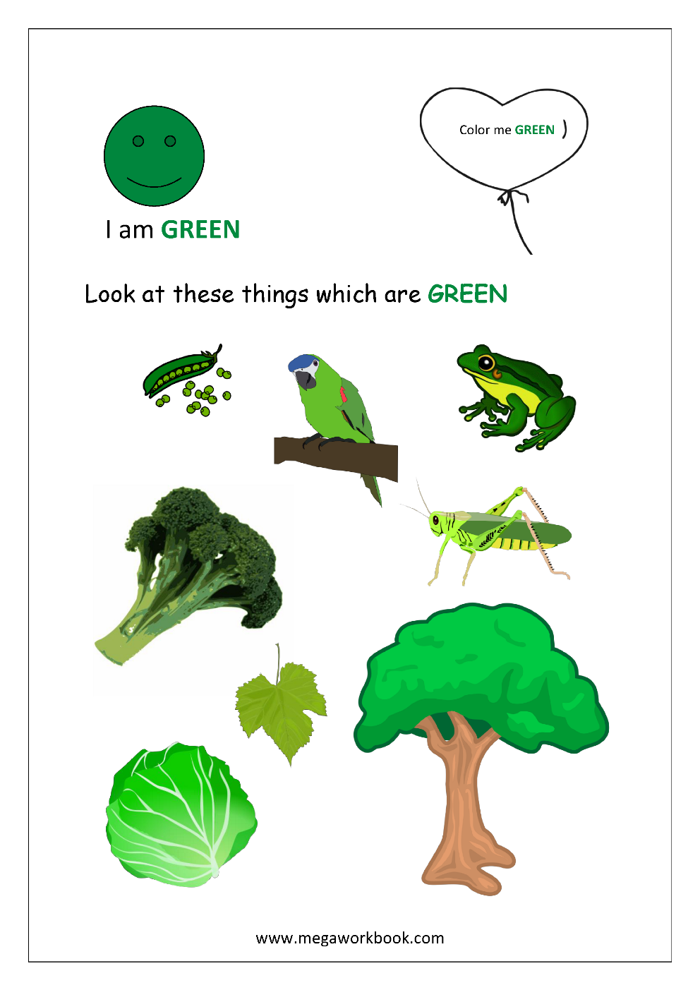 Learn Colors Learn Colors For Kids Learning Colors For Toddler 