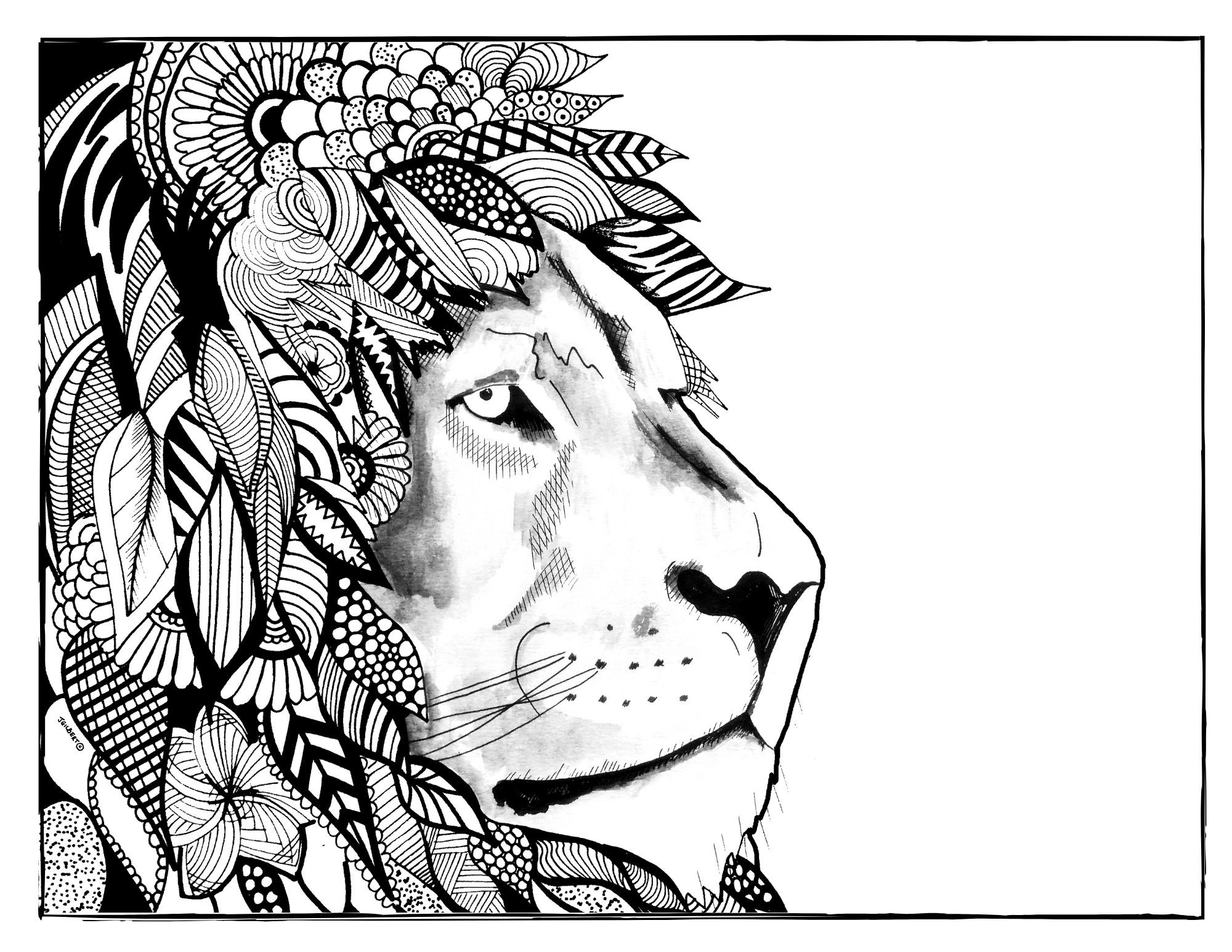 Lion Coloring Page Printable Adult Coloring Page Art Print Download PDF PNG JPEG Instant Download Etsy
