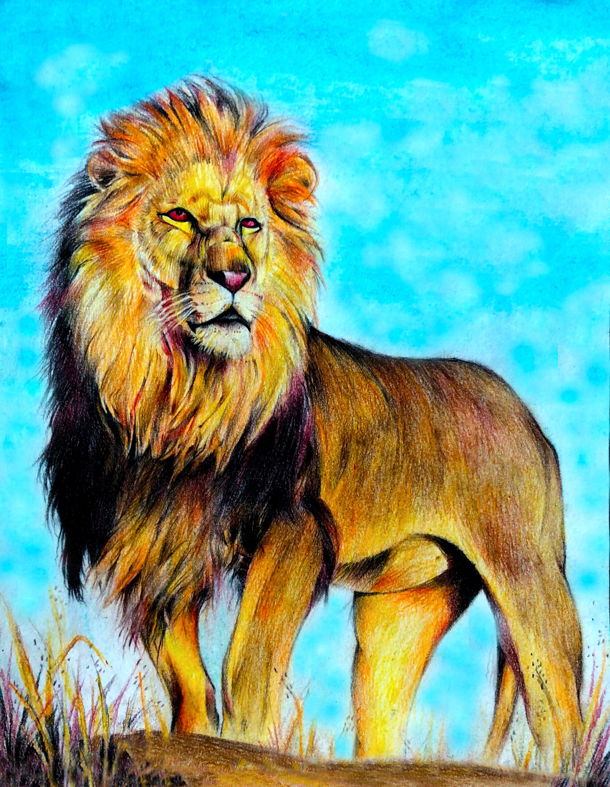 Lion In Colored Pencil By Ino On Dribbble