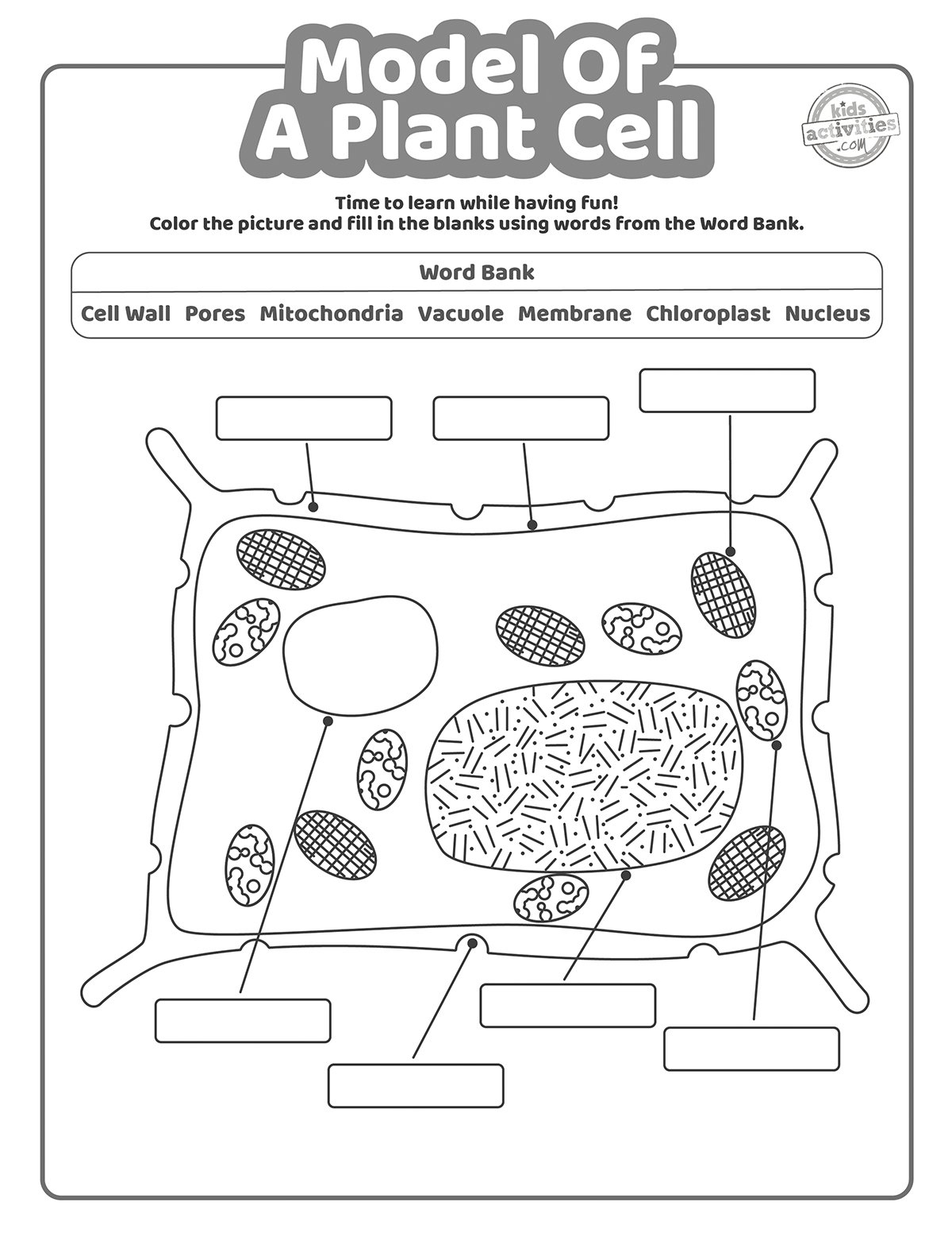 animal and plant cell coloring worksheet