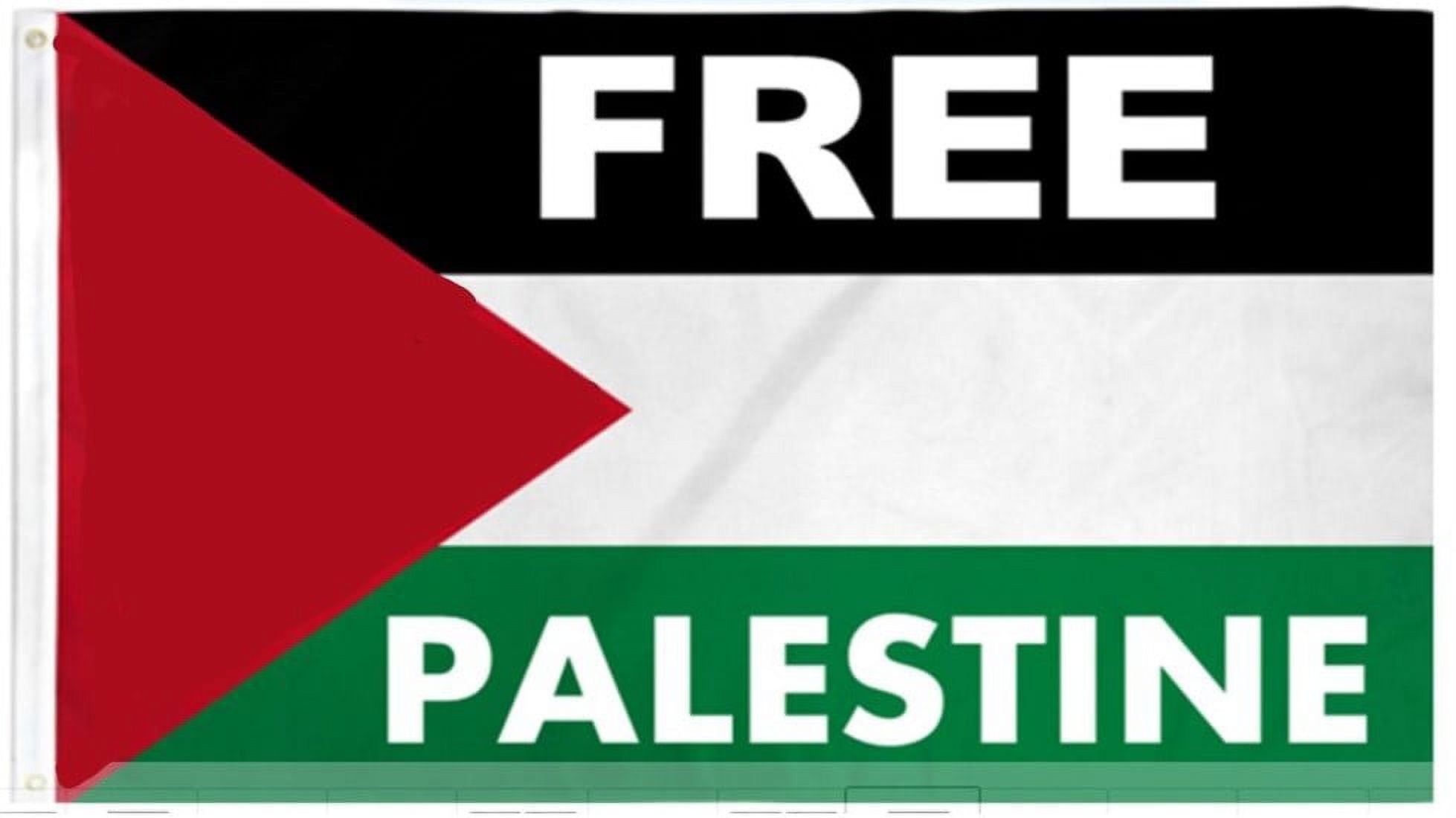 colors of palestinian flag
