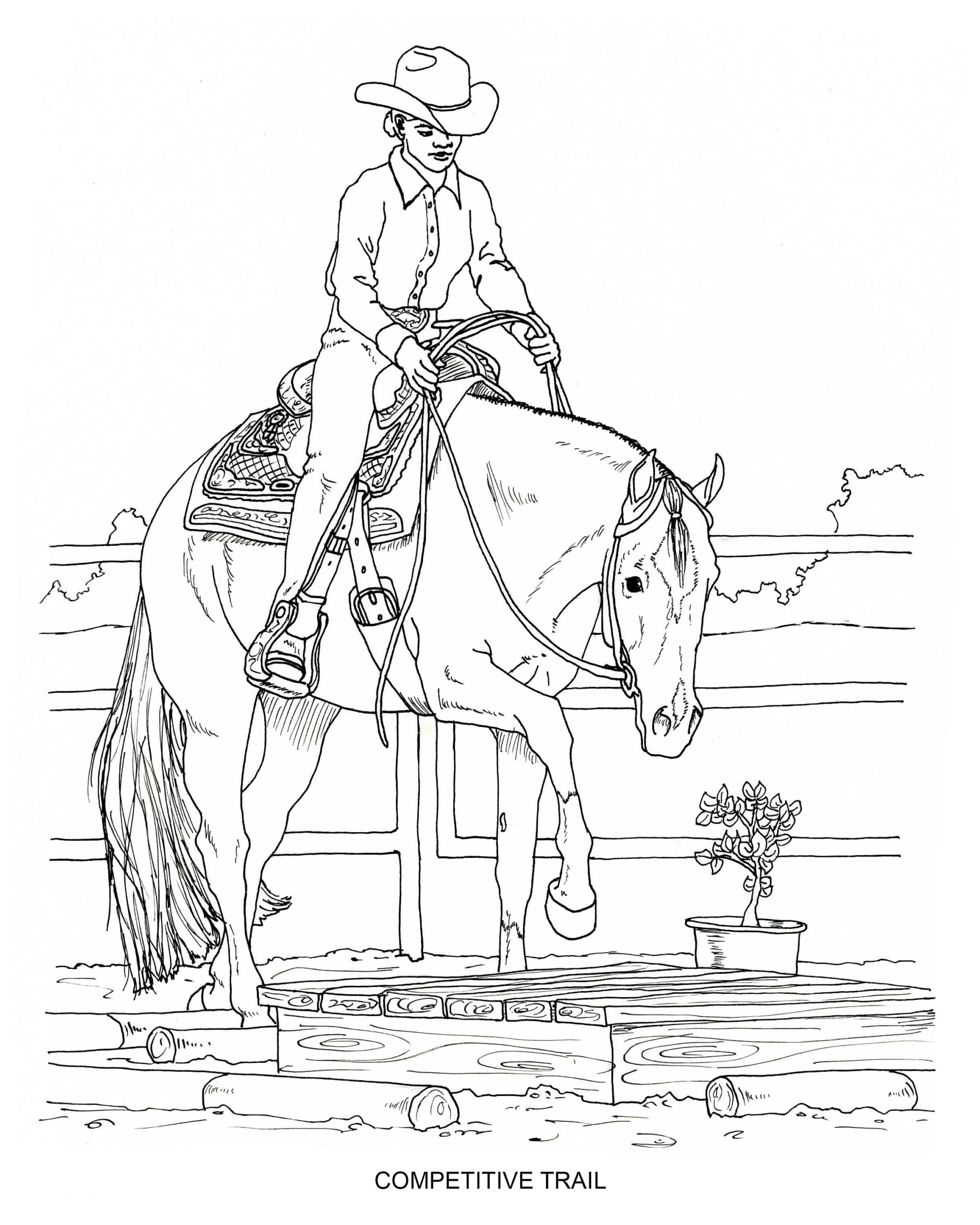 free printable horse pictures to color