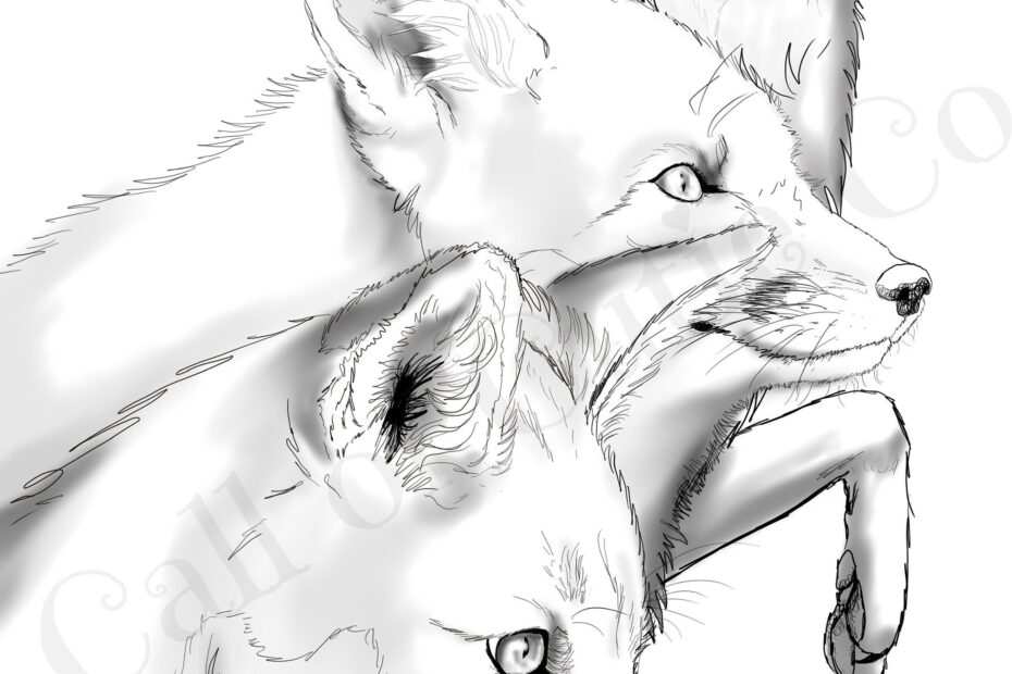 Red Fox Color Page fox Color Sheets realistic Animal Color Pages