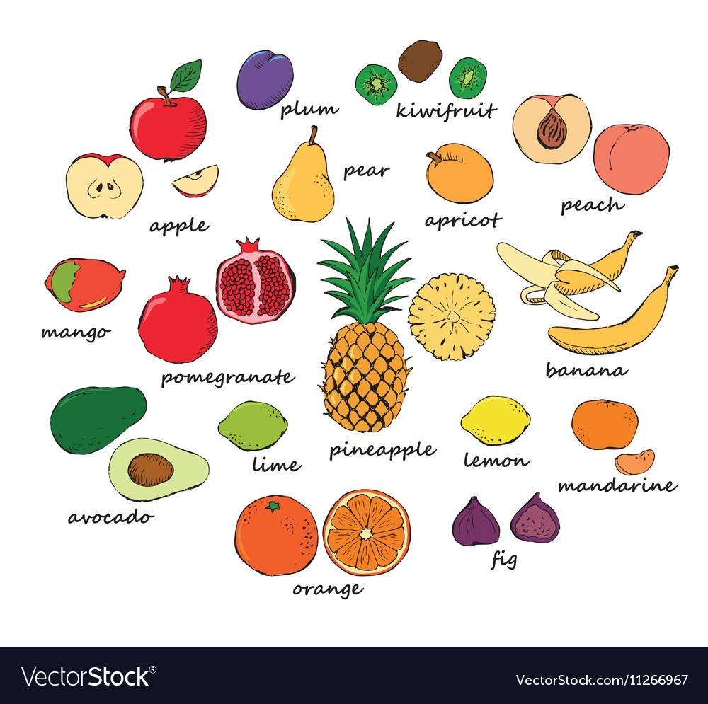 Set Of Color Fruit Doodles Royalty Free Vector Image