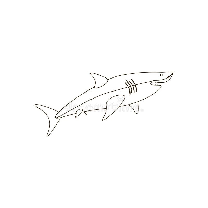 Shark Coloring Pages Stock Illustrations 255 Shark Coloring 