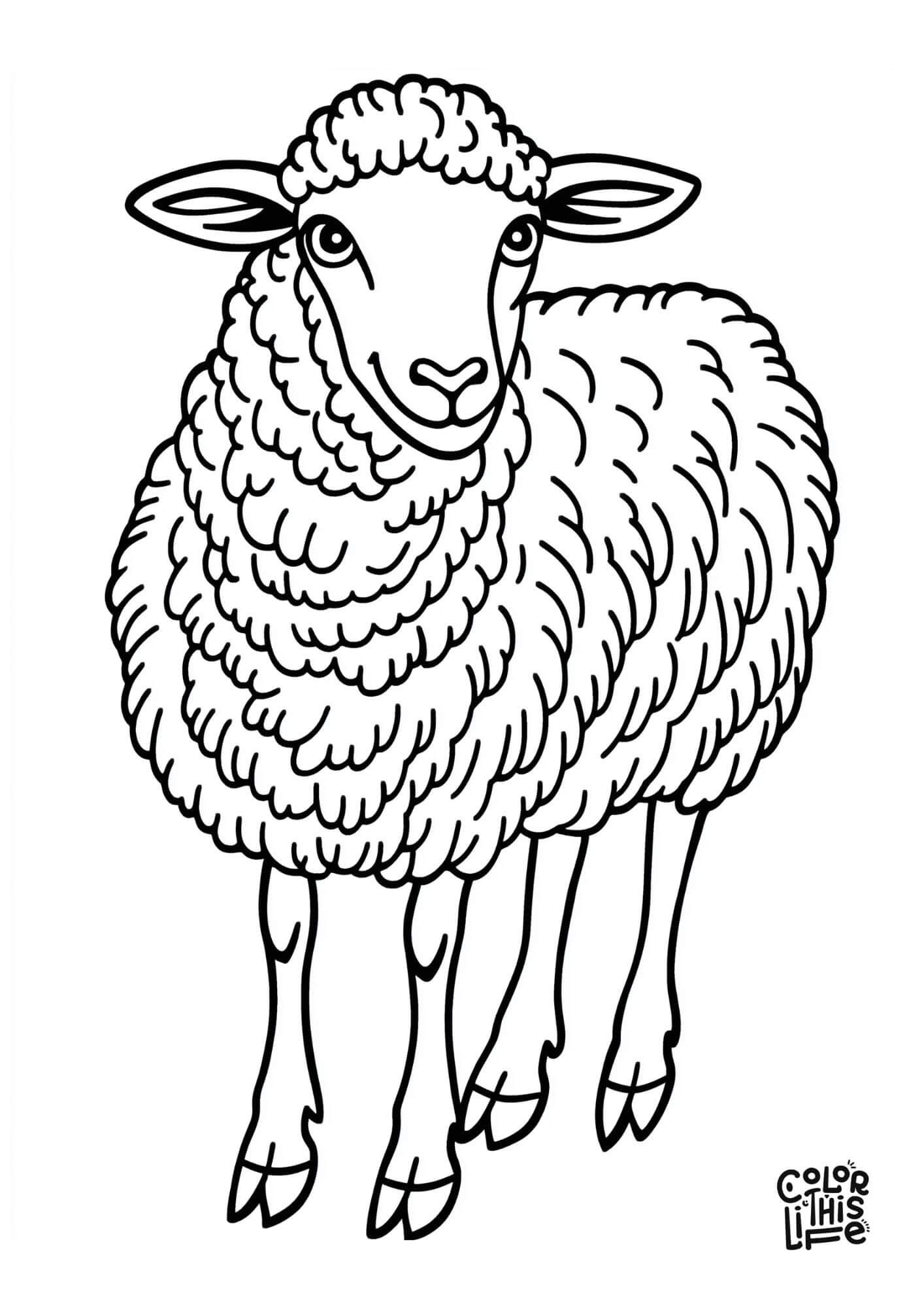 sheep coloring page printable