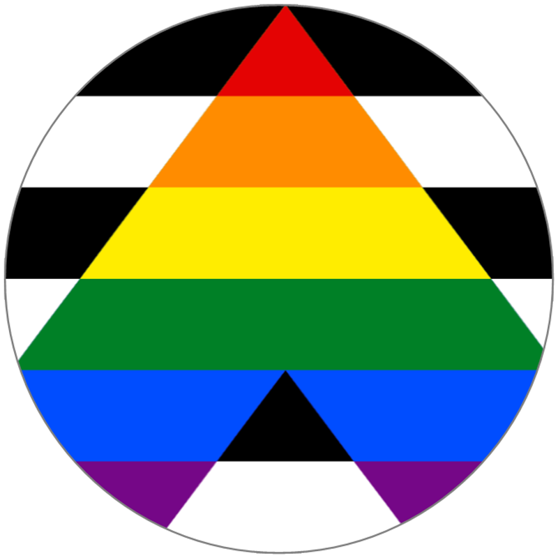 Straight Ally Flag 3 Pack Circle Stickers 3